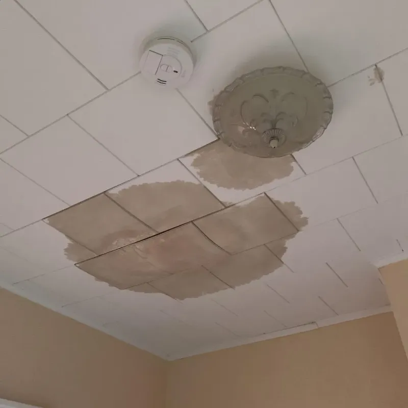 Ceiling Water Damage Repair in West New York, NJ