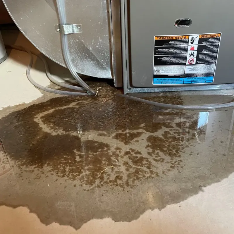 Pipe Burst and Leak Restoration in West New York, NJ