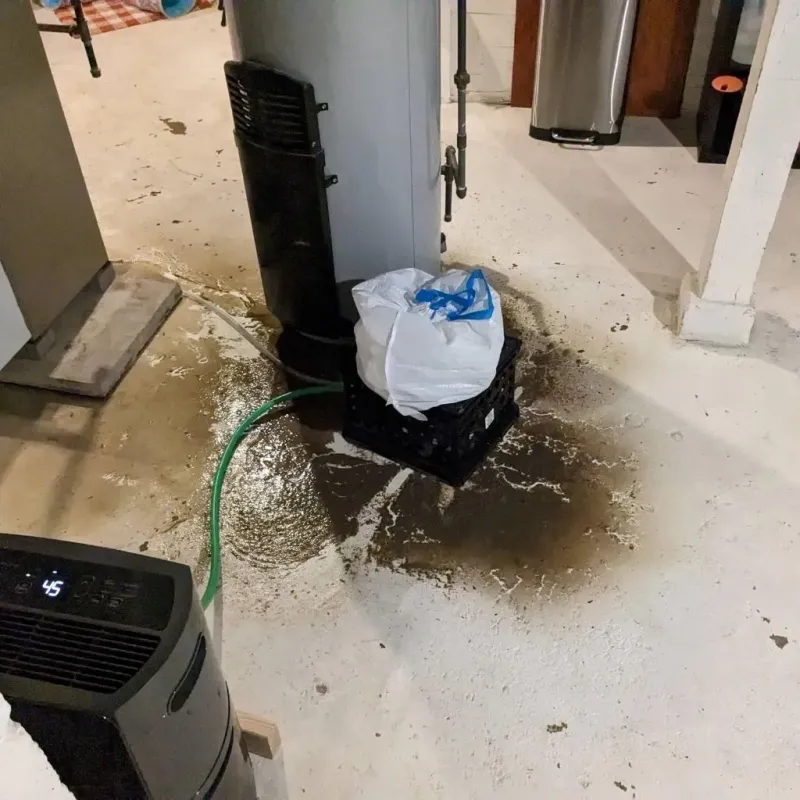 Sewage Backup Cleanup Service in West New York, NJ